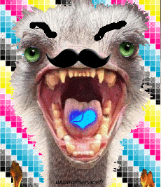 Humor - Fun Animales Avestruces 01 