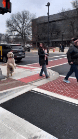 Humor - Fun En la calle Mix 03 