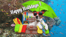 Mensajes Inglés Happy Holidays Fondo animado 005 