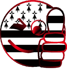 Drapeaux France Régions Bretagne Smiley - OK 