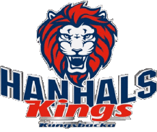 Sport Eishockey Schweden Hanhals IF 