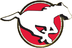 Sports FootBall Américain Canada - L C F Calgary Stampeders 