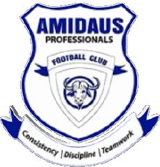 Sport Fußballvereine Afrika Ghana Amidaus Professionals F.C 