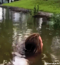 Humor -  Fun Tiere Fisch 01 