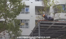 Humor -  Fun Sports BMX Fun Win 