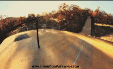 Umorismo -  Fun Sportivo Pattino a rotelle Fun - Win 