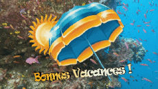 Messages French Bonnes Vacances Animated Background 005 