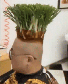 Humour - Fun PERSONNAGES Coiffeur Cheveux Serie 01 