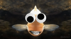 Humor -  Fun GIF Artists @Eclectech 