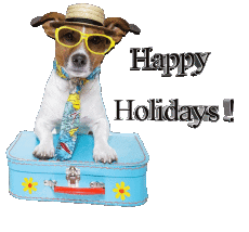 Messages Anglais Happy Holidays Fond Transparent 29 