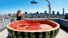 Umorismo -  Fun A.I Miscela Docce da sogno 