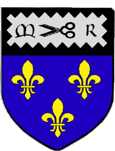 Bandiere Francia Dipartimenti - Città 37 MONTS 