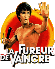Multi Média Cinéma International Bruce Lee La Fureur de Vaincre 