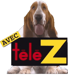 Multimedia Periódicos Francia Télé Z 