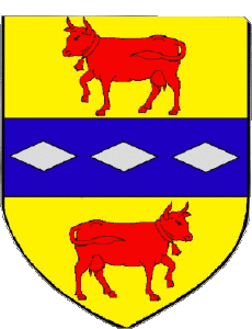 Fahnen Frankreich Abteilungen - Städte 04 ORAISON 