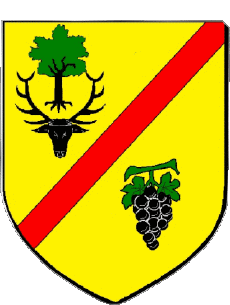 Blason-Drapeaux France Départements - Villes 41 MONT PRES CHAMBORD 