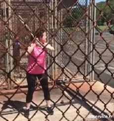 Humor -  Fun Sport Base Ball Serie 01 