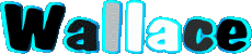 First Names MASCULINE -  UK - USA - IRL - AUS - NZ W Wallace 