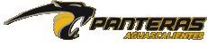 Sportivo Pallacanestro Messico Panteras de Aguascalientes 