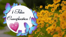 Messages Spanish Feliz Cumpleaños Mariposas Animated Background 004 