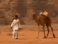 Multi Média Chaines -  TV France Voyage Jingle Pub 