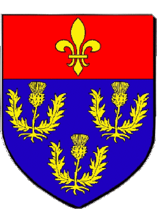 Blason-Drapeaux France Départements - Villes 45 PITHIVIERS Blason