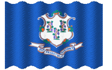 Bandiere America U.S.A - Stati Connecticut Sventola 