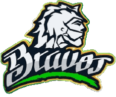 Sport Baseball Mexiko Bravos de Léon 