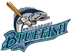 Sport Baseball U.S.A - ALPB - Atlantic League Bridgeport Bluefish 