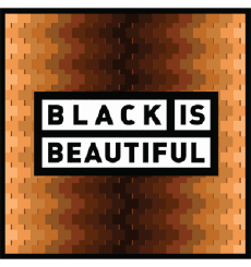 Black is beautiful-Boissons Bières USA Gnarly Barley Black is beautiful