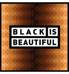 Black is beautiful-Getränke Bier USA Gnarly Barley 