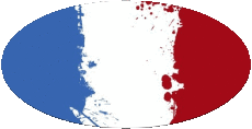 Banderas Francia Nacional Oval 