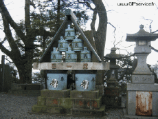 Humor - Fun Efectos 3d Stéreoscopique Wiggle 