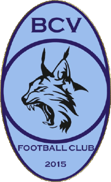 Deportes Fútbol Clubes Francia Grand Est 88 - Vosges Bulgnéville Contrex Vittel FC 