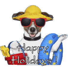 Messagi Inglese Happy Holidays Sfondo trasparente 03 