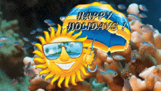 Messagi Inglese Happy Holidays Sfondo animato 006 