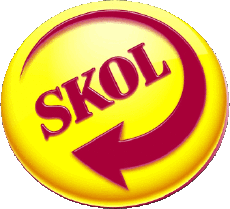 Boissons Bières Brésil Skol 