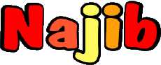 Vorname MANN - Maghreb Muslim N Najib 
