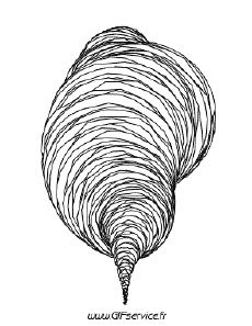 Humor - Fun Efectos 3d Illusions Optiques Géométriques 