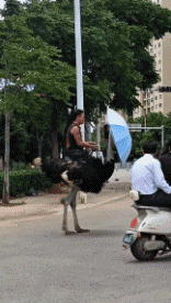 Humor -  Fun In the street Mix 02 