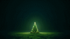 Messages Français Bonnes Fêtes (Noël) Video 