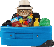 Messages French Bonnes Vacances Transparent Background 12 