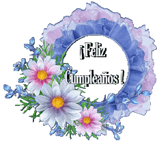 Messages Spanish Feliz Cumpleaños Floral Transparent Background 020 