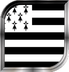 Fahnen Frankreich Regionen Bretagne Plaza 