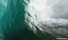 Humor -  Fun Sport Surf Fun - Win 