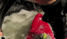 Humor -  Fun Sport Kanu Kajak Fun - Win 