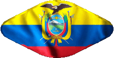 Fahnen Amerika Ecuador Oval 02 