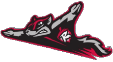 Sport Baseball U.S.A - Eastern League Richmond Flying Squirrels 