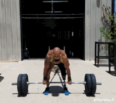 Humor -  Fun Sports Weightlifting Fun Win 
