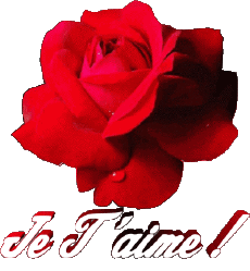 Messages French Je T'aime 01 